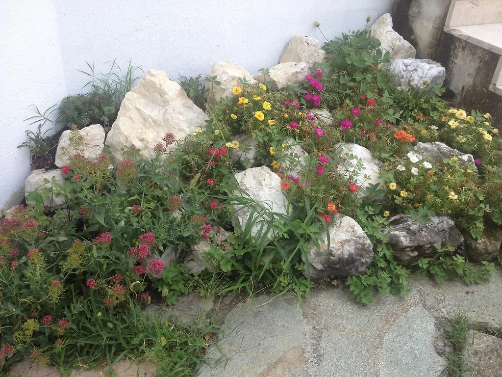 Bed & Breakfast B & B Villa Angelina Treviso