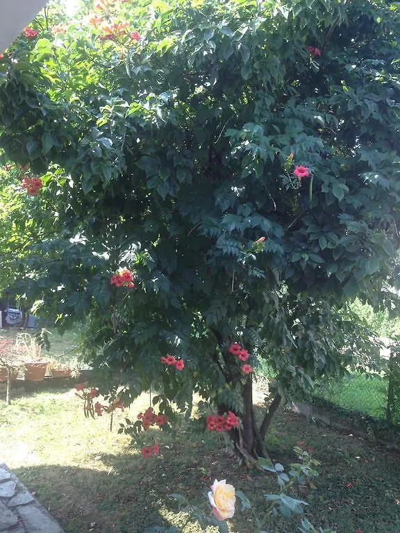 ** Bed & Breakfast B & B Villa Angelina Treviso Italia
