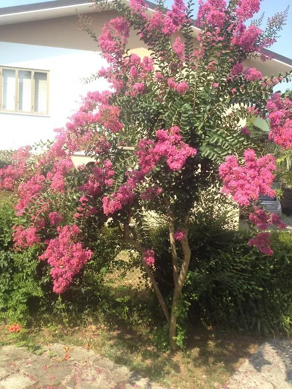 Bed & Breakfast B & B Villa Angelina Treviso
